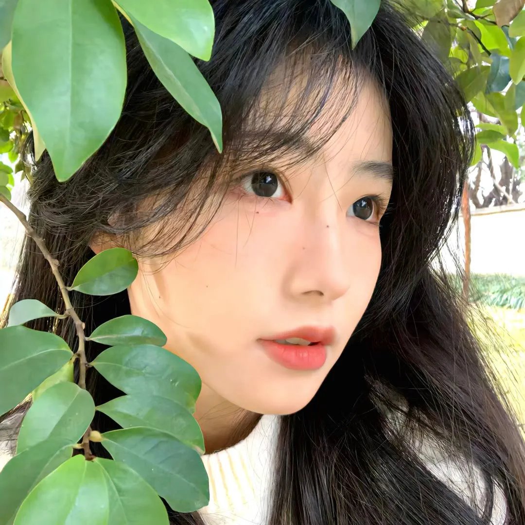 眼镜蛇第一季